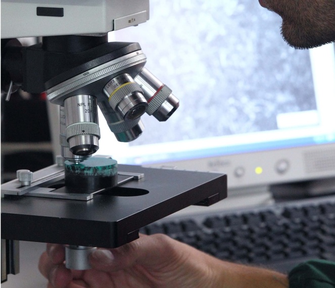 تهیه تصاویر میکروسکوپی