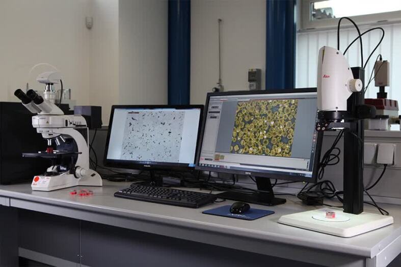 تصاویر میکروسکوپی و ماکروسکوپی