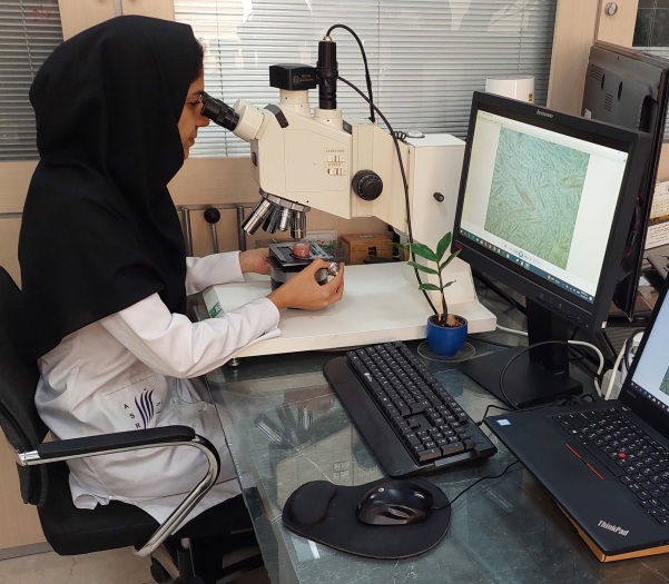 تعیین ریز ساختار